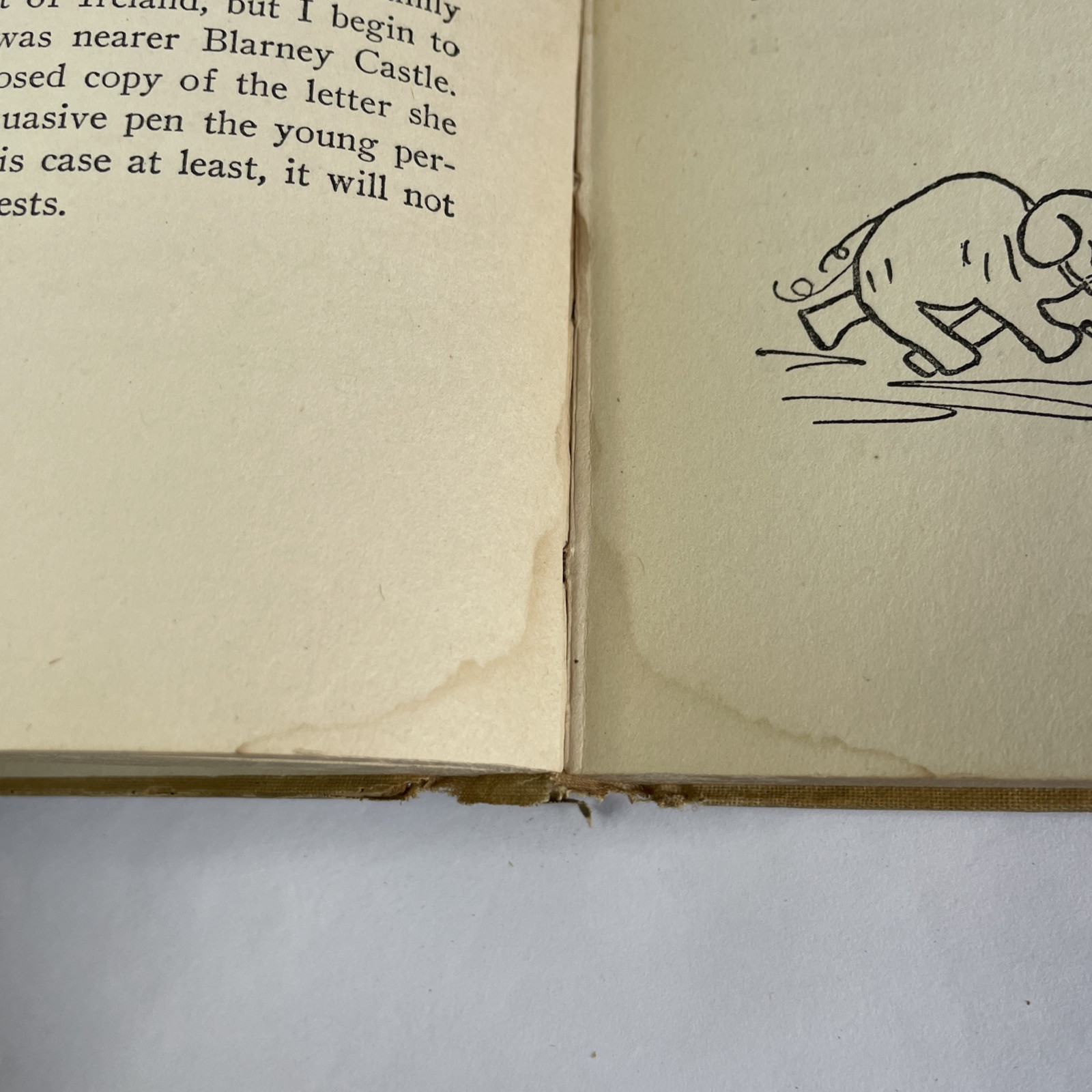 Dear Enemy by Jean Webster Hardcover Book Illustrated Antique 1915