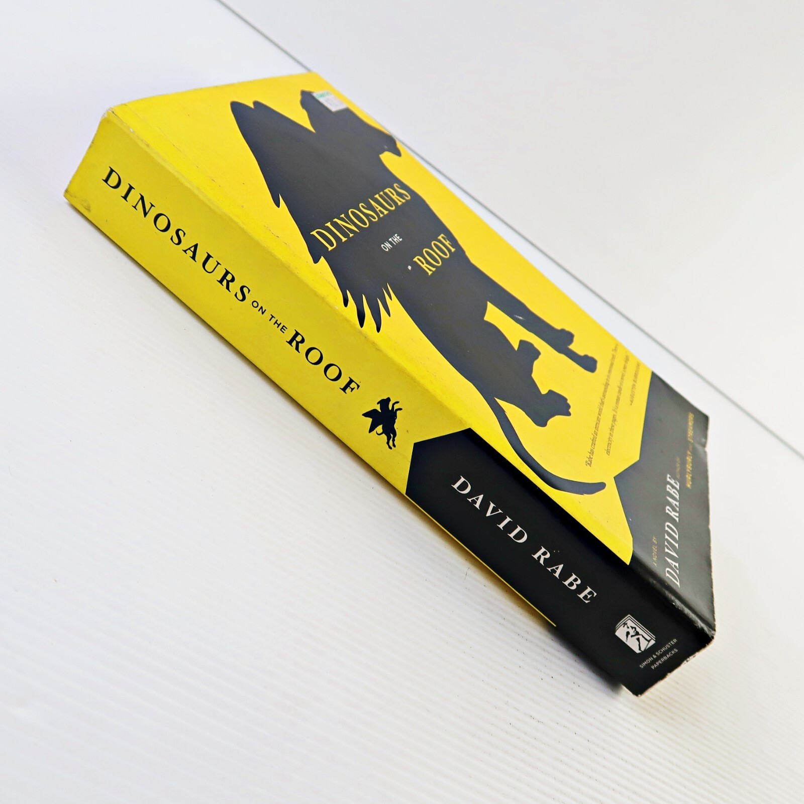 Dinosaurs on the Roof: a Novel (Paperback 2009)