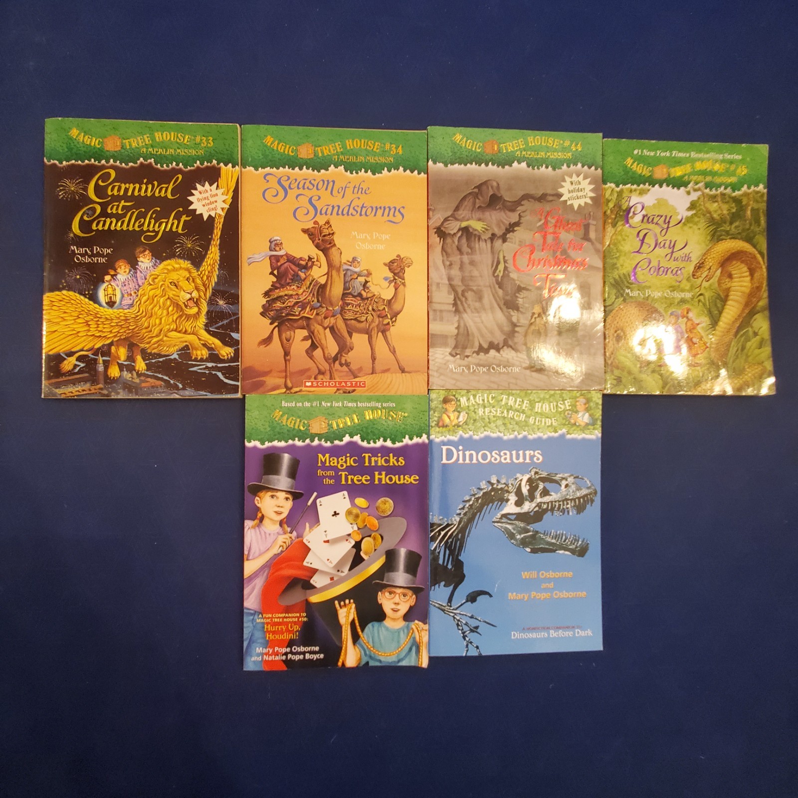 Magic Tree House Series Mary Pope Osborne Lot of 22 Paperback Books