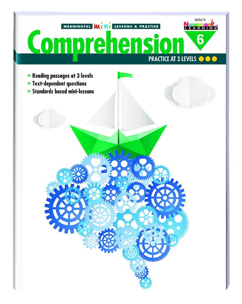 Reading Comprehension Meaningful Mini-Lessons & Practice Grade 6 – perfect N…