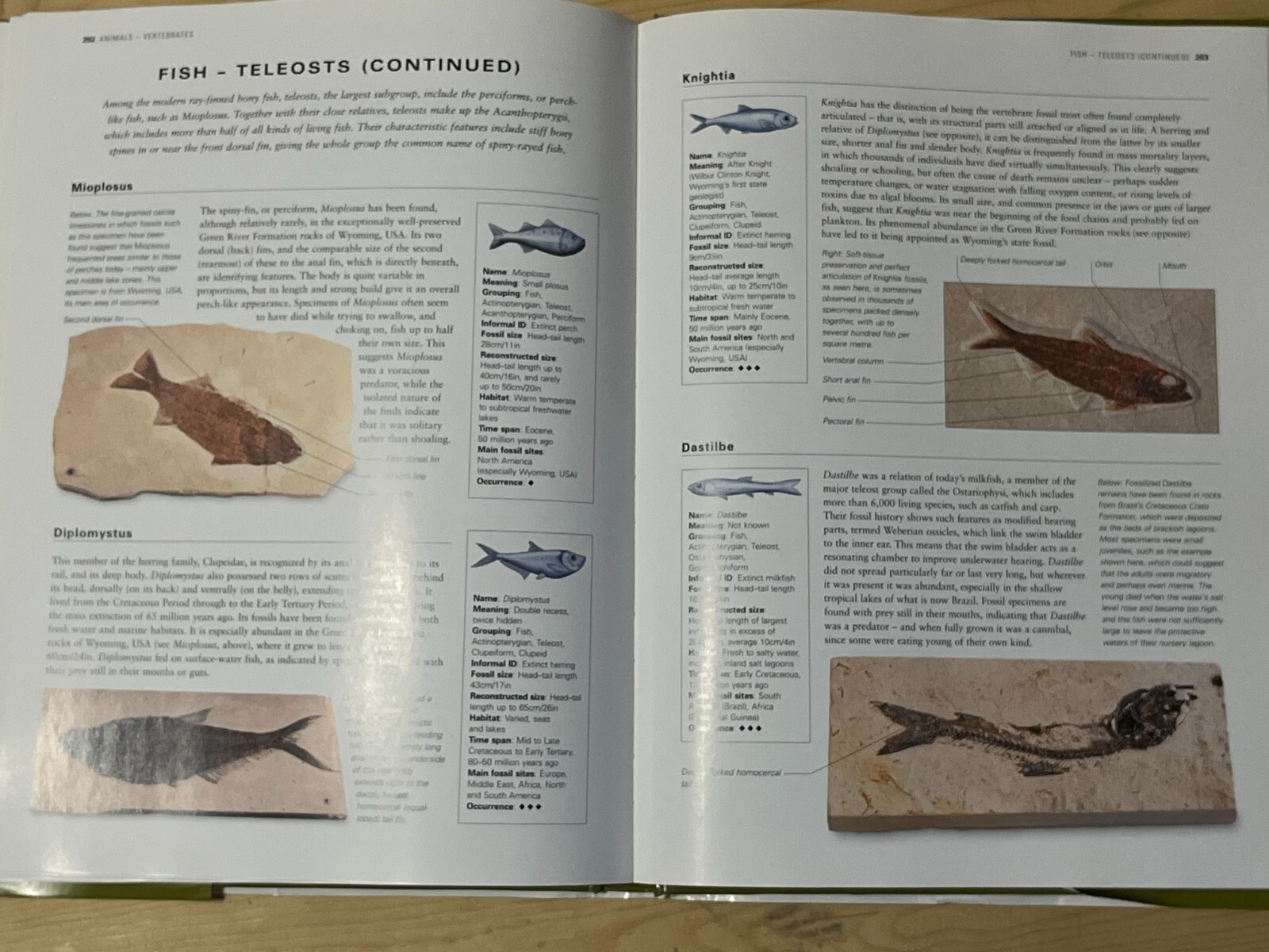 The Complete Guide to Fossils & Fossil-Collecting – Steve Parker, Hardcover DJ