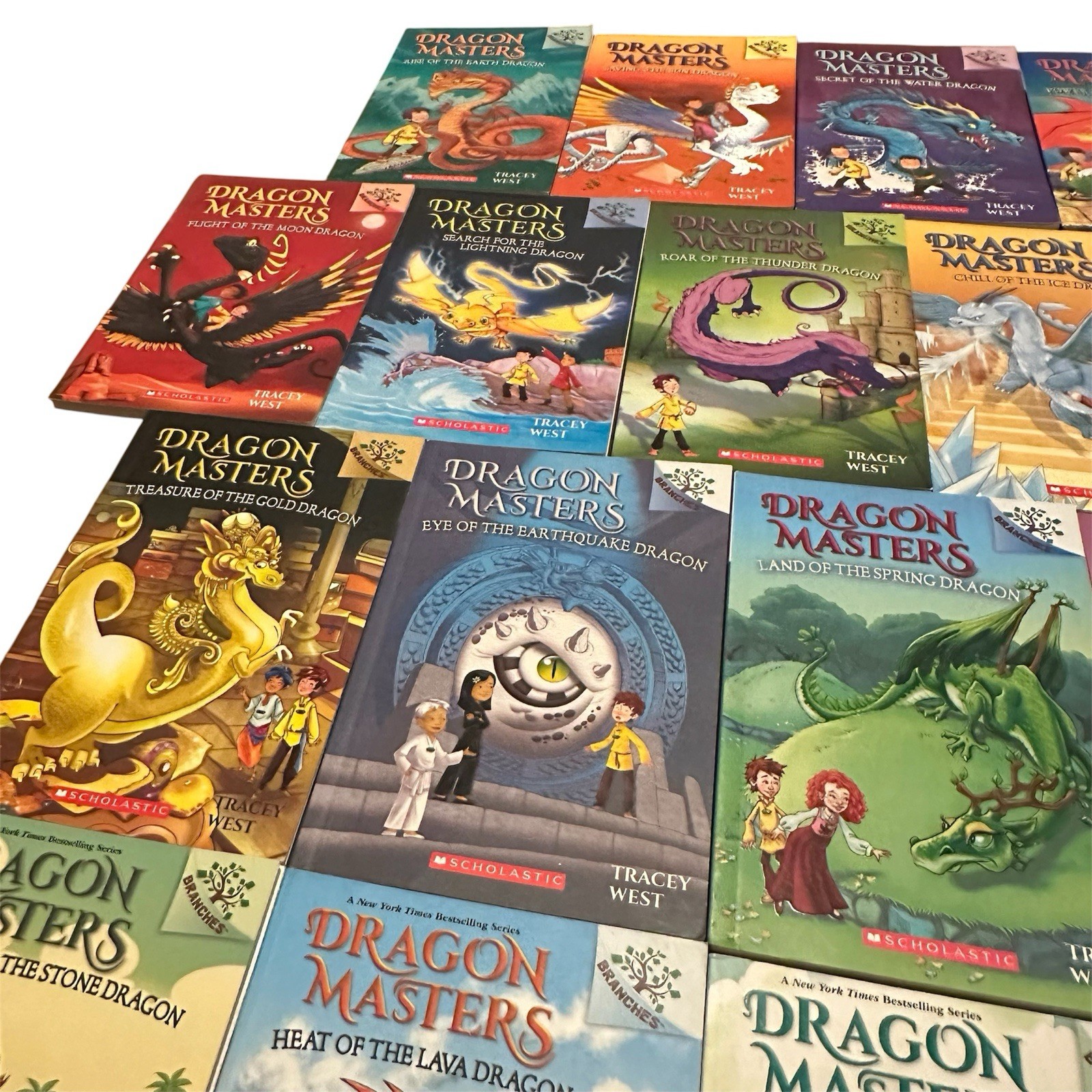 Dragon Masters Books 1–21 Book Lot Tracy West Scholastic PB Set