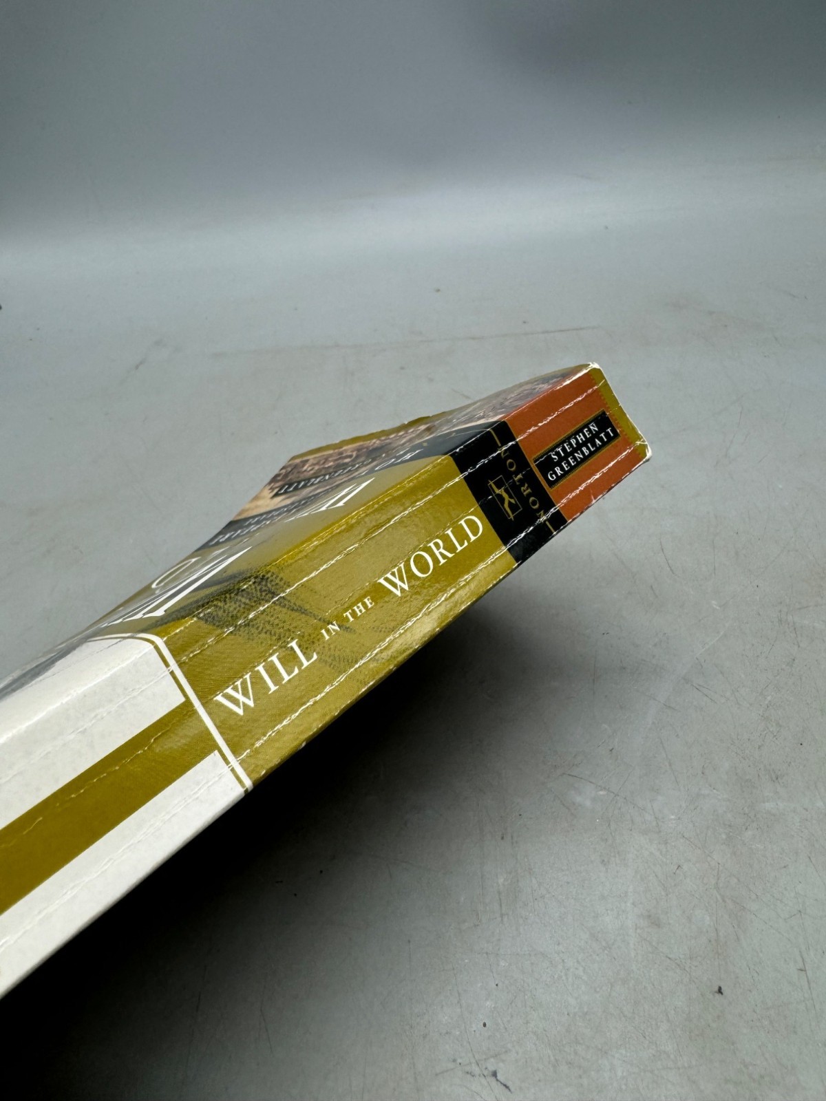 Will in the World Book Paperback 2004 English W.W. Norton & Co 430 pages READ