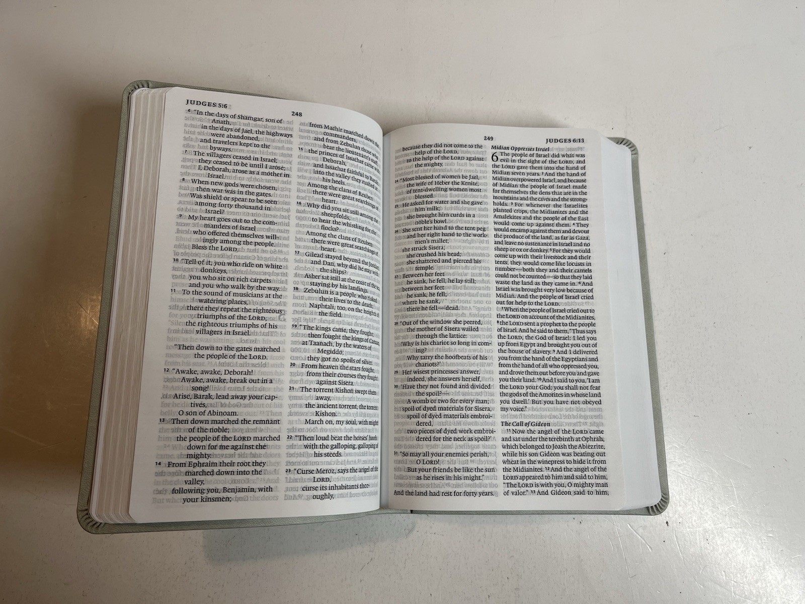ESV Large Print Value Thinline Bible (Trutone, River Stone, Branch Design)