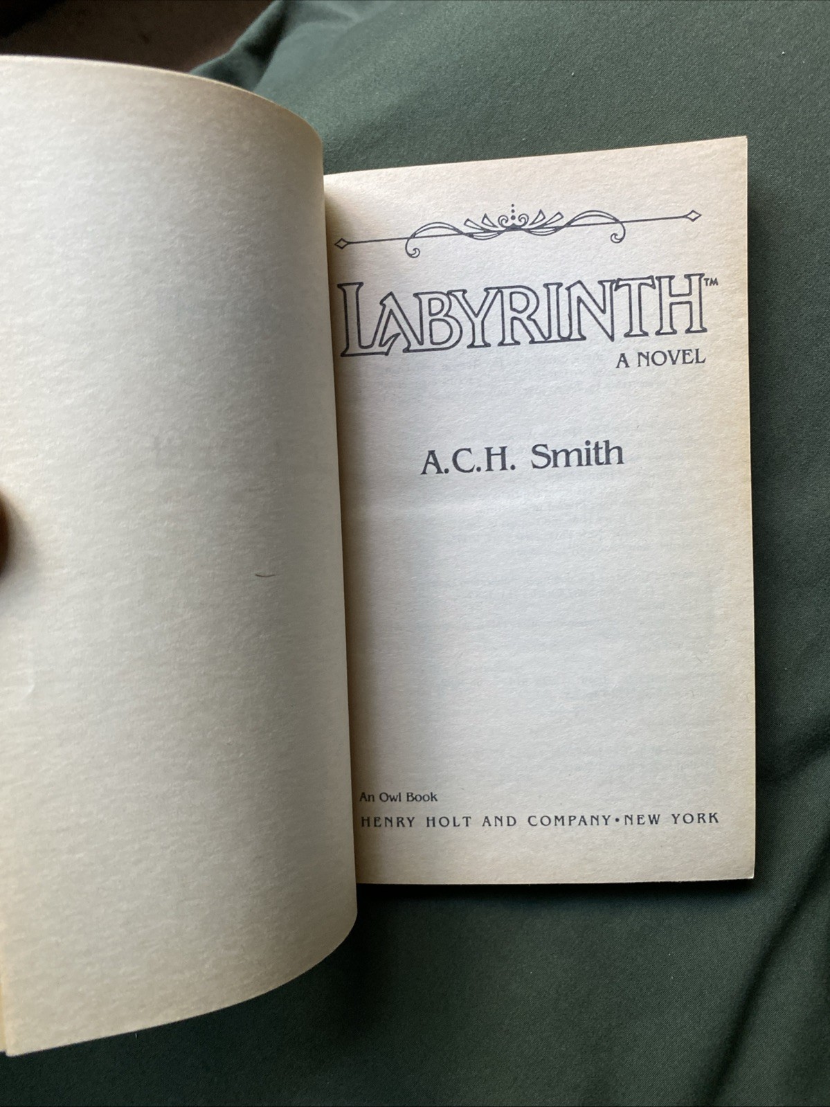 Labyrinth by ACH Smith 1st Edition Paperback Book Based On Jim Henson Film READ