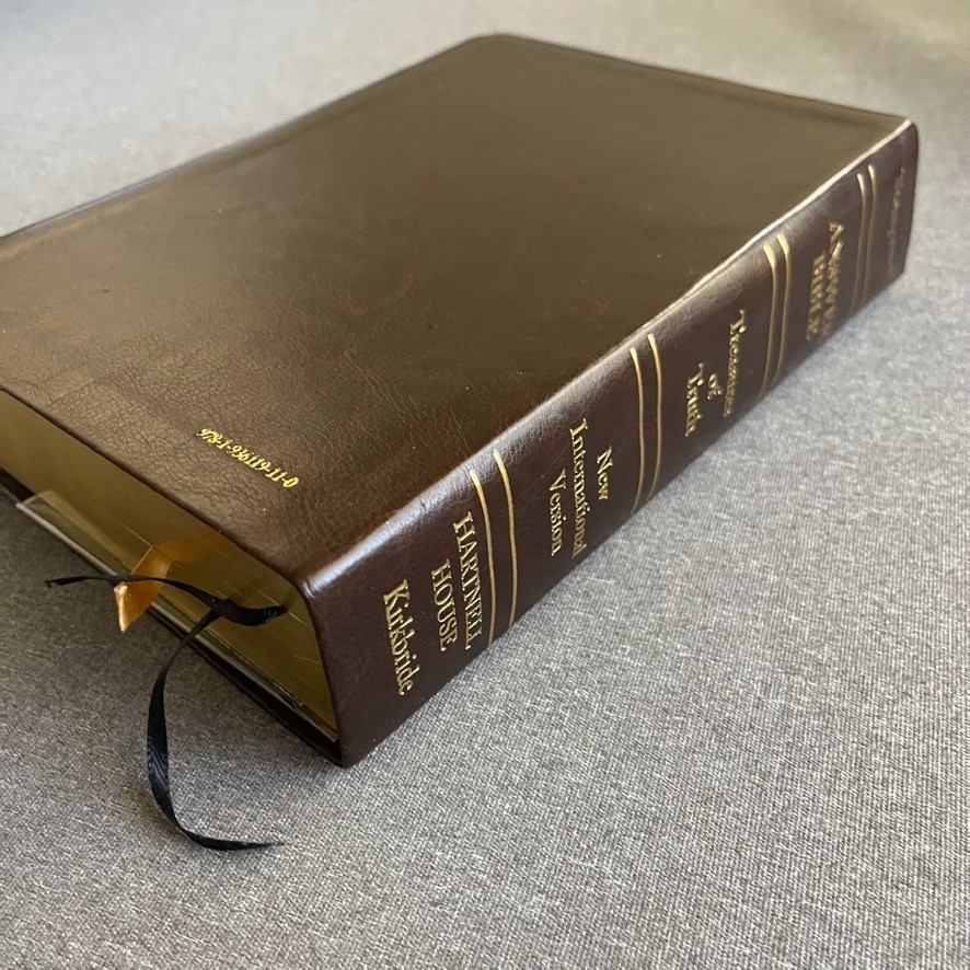 THOMPSON ANSWER BIBLE – NIV- SIMULATED LEATHER BRIDLE By Hartnell House