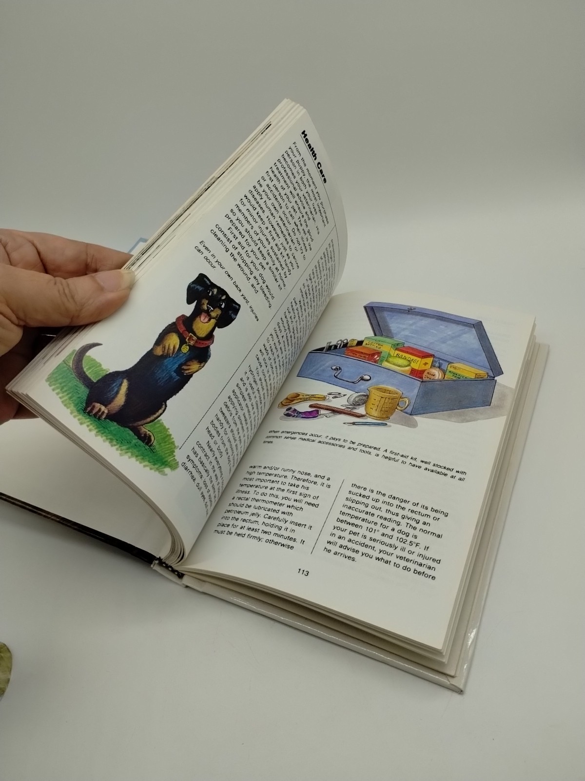 Yorkshire Terriers By Kerry Donnelly Vintage 1990 Over 175 Full Color Illustrati