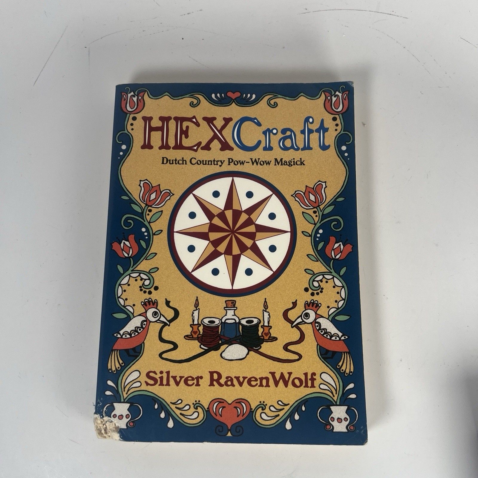 HexCraft: Dutch Country Magick (Llewellyn’s Practical Magick Series) HAS FLAW
