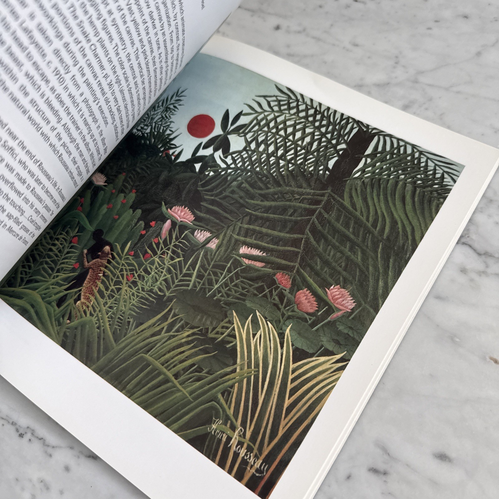 Henri Rousseau by Roger Shattuck [1st Edition · 1985] MoMA