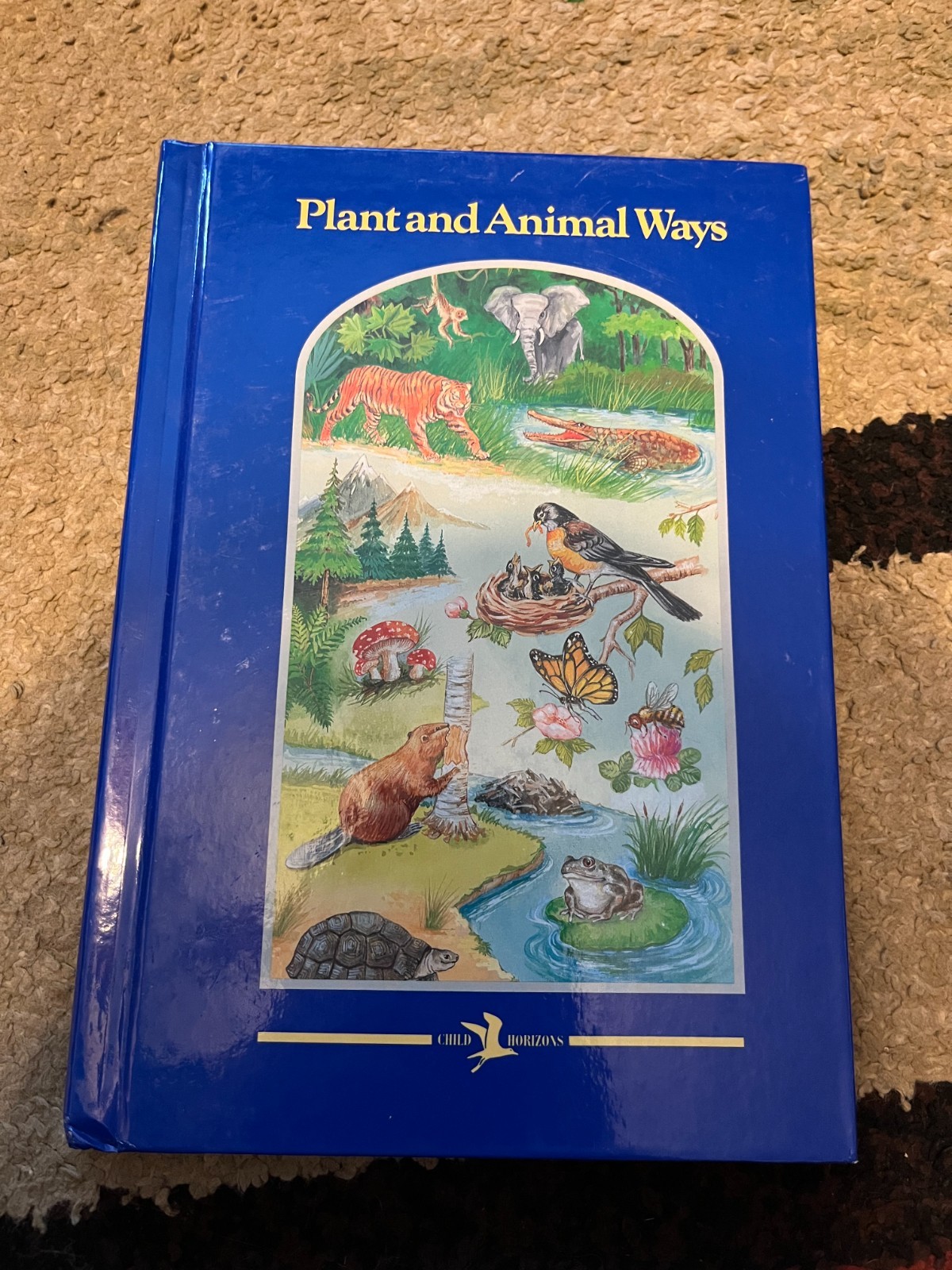 Child horizons book collection with 10 books in it
