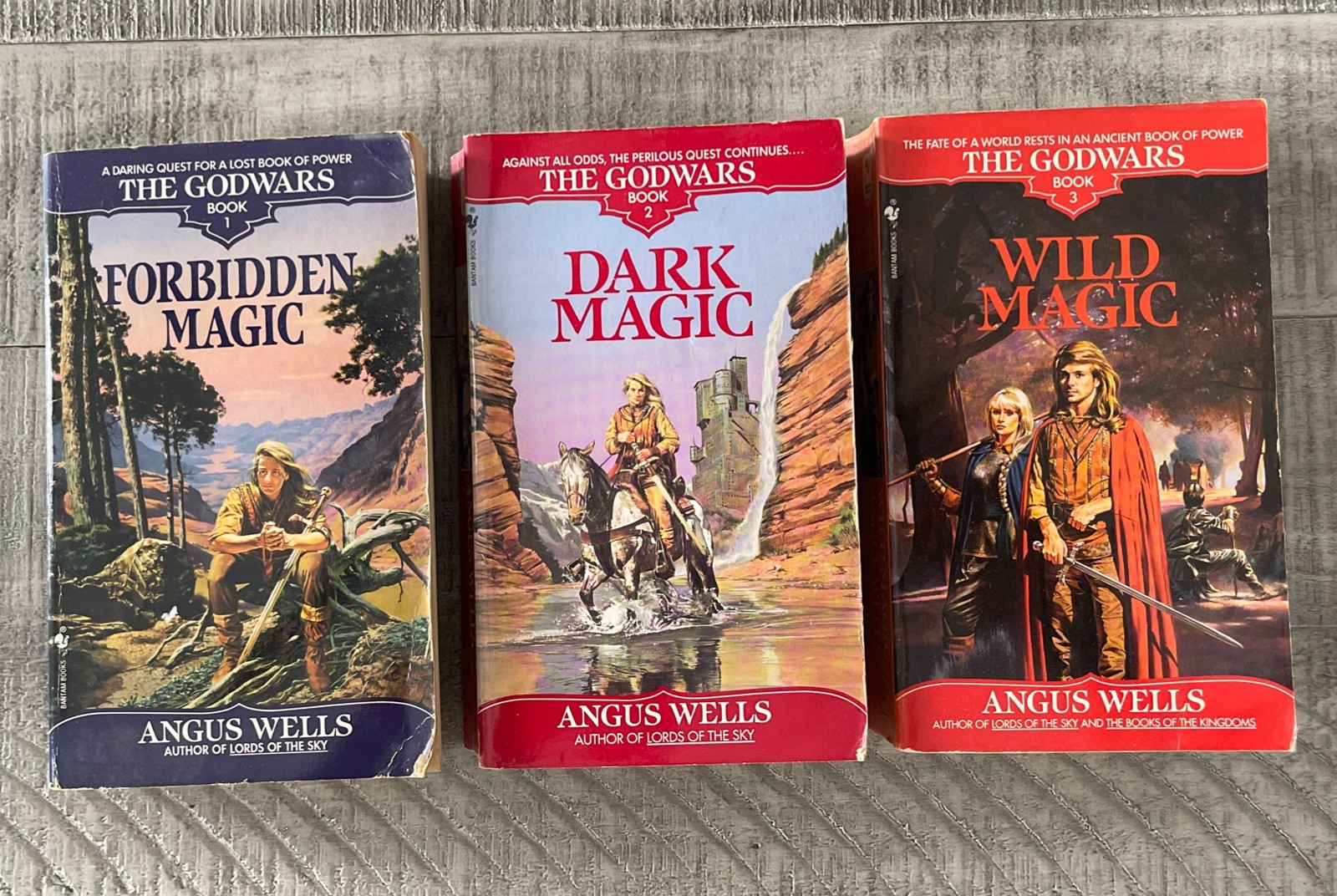 The GODWARS Trilogy Forbidden Magic Dark Magic Wild Magic Wells 1992 Lot /3 PB