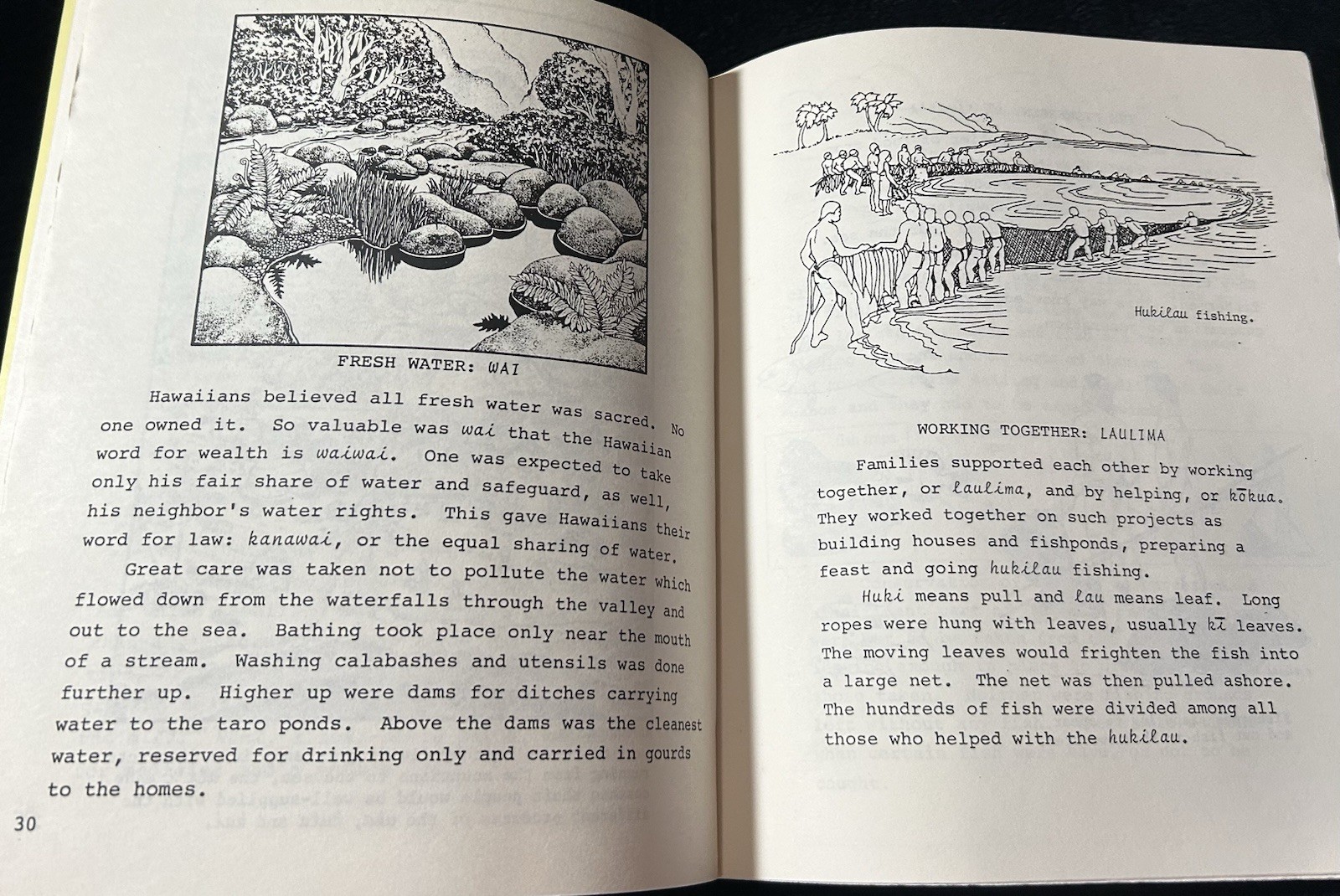 2 Hawaii Juv History BEHOLD HAWAII and HAWAII NEI Julie Stewart Williams 1999