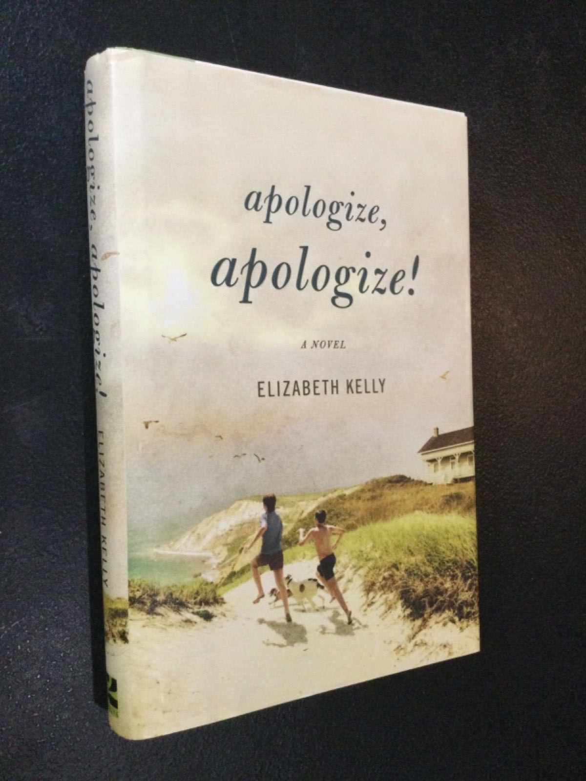 Apologize, Apologize! by Elizabeth Kelly 2009 HC/DJ 1st/1st (Like New) Twelve