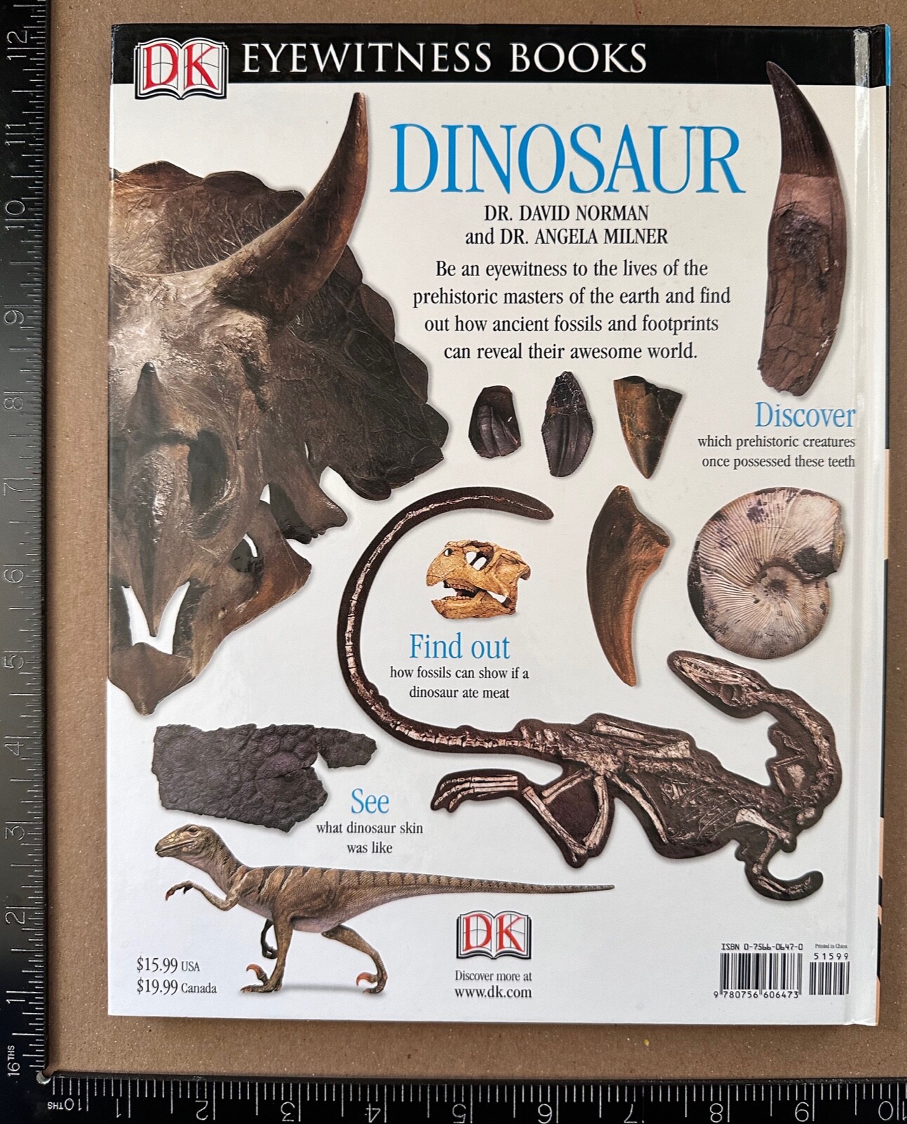 NORMAN: Dinosaur (DK Eyewitness Books) (DK Publishing, 2004)