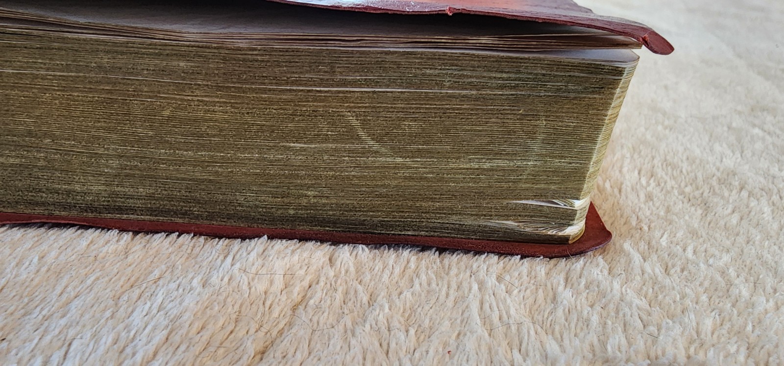 The New American Bible Catholic World Press Red Letter Edition Crimson Cover 91