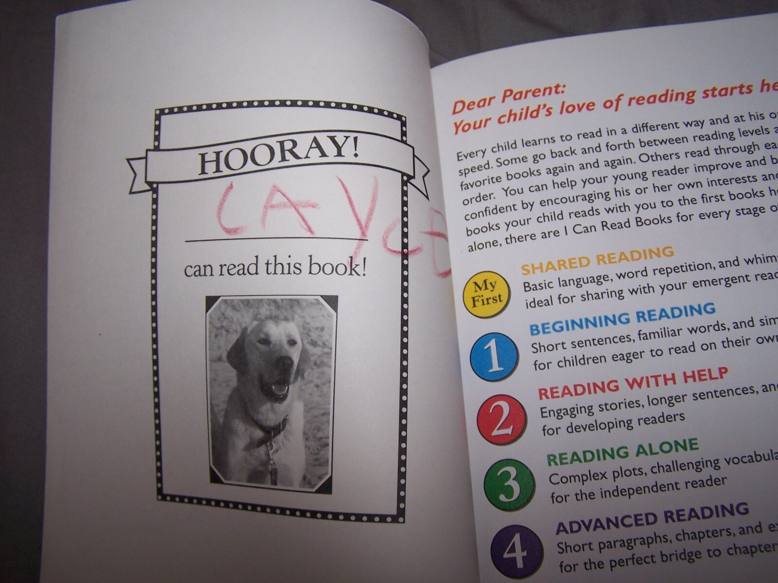 I Can Read Level 1 Ser.: Marley and Me : Marley to the Rescue! by M. K….