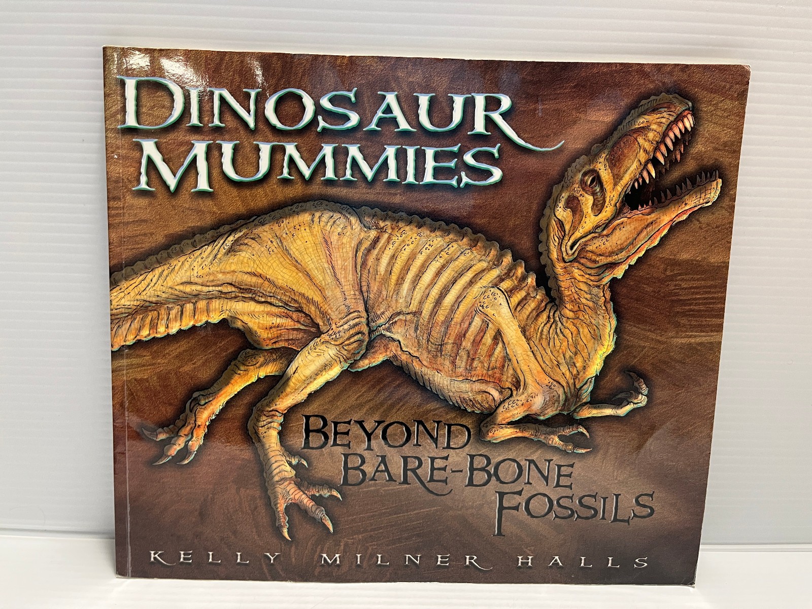 3 Dinosaurs Curriculum 3 Kids Student Information Home school Classroom Lot of 6
