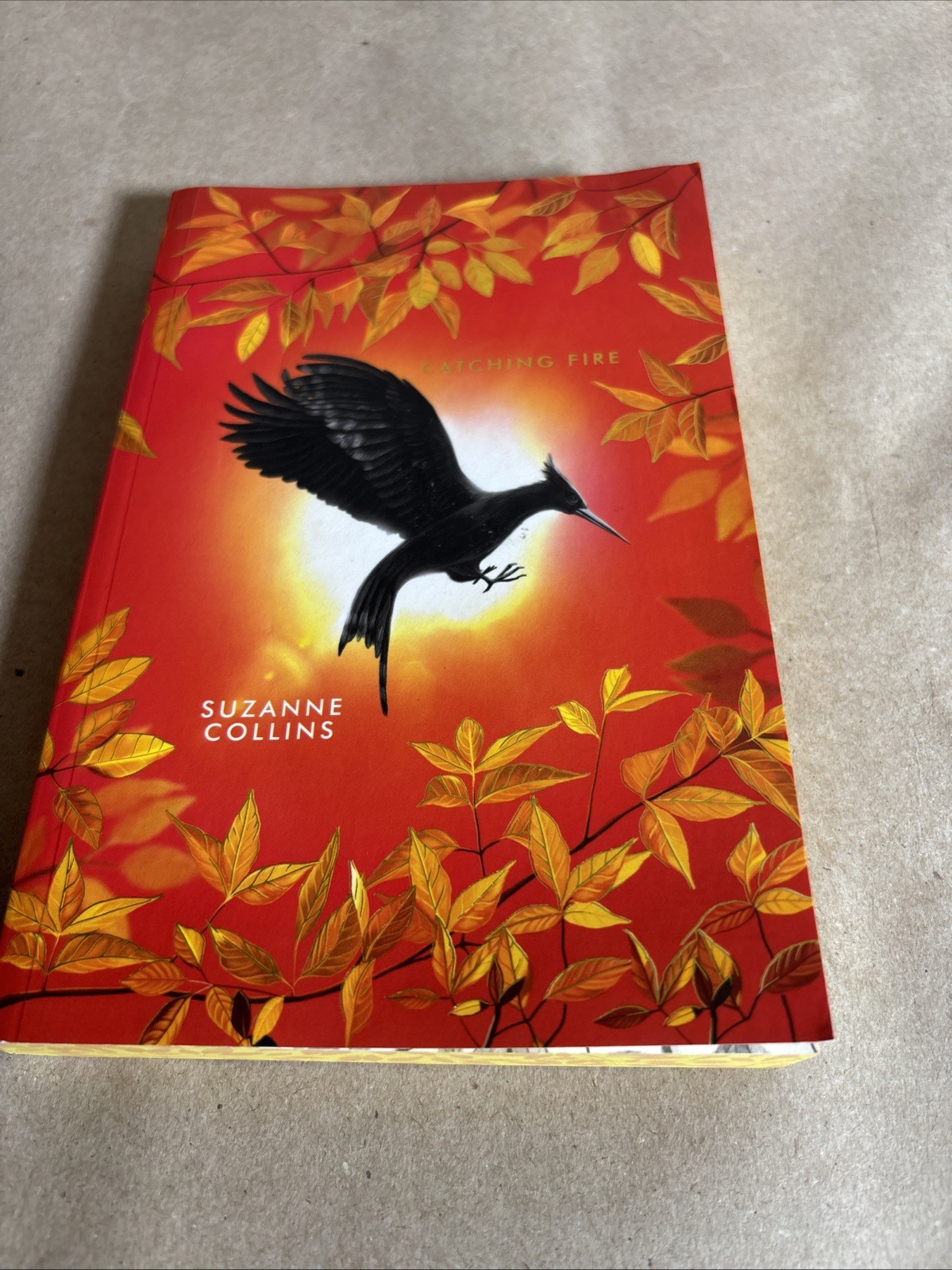 Catching Fire: Deluxe Edition (the Hunger Games, Book Two) by Suzanne Collins