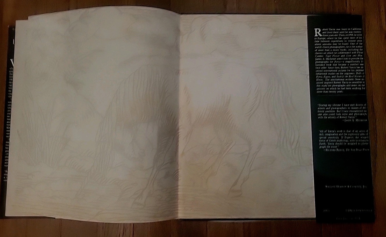 Unicorns I Have Known by Robert Vavra 1983