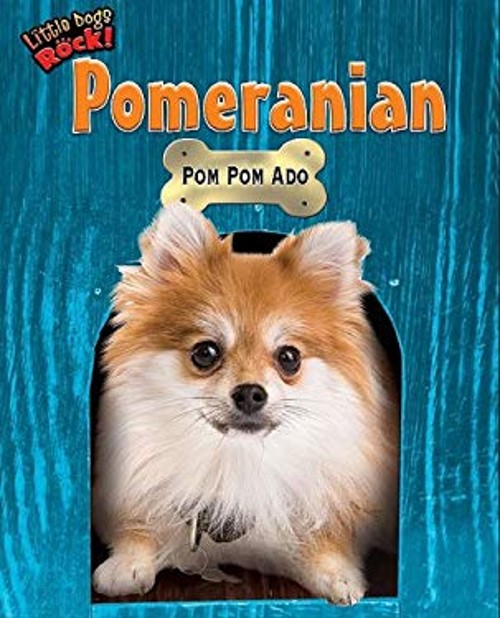 Pomeranian : Pom Pom Ado Library Binding Sunita Apte