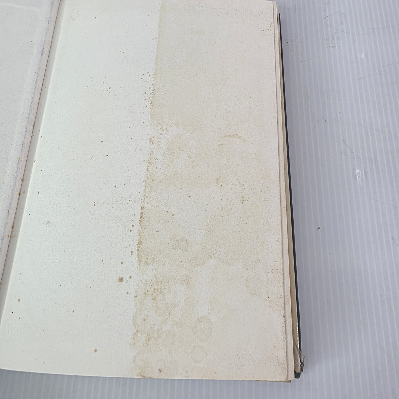 Aroids : Plants of the Arum Family by Deni Bown (2000, Hardcover)