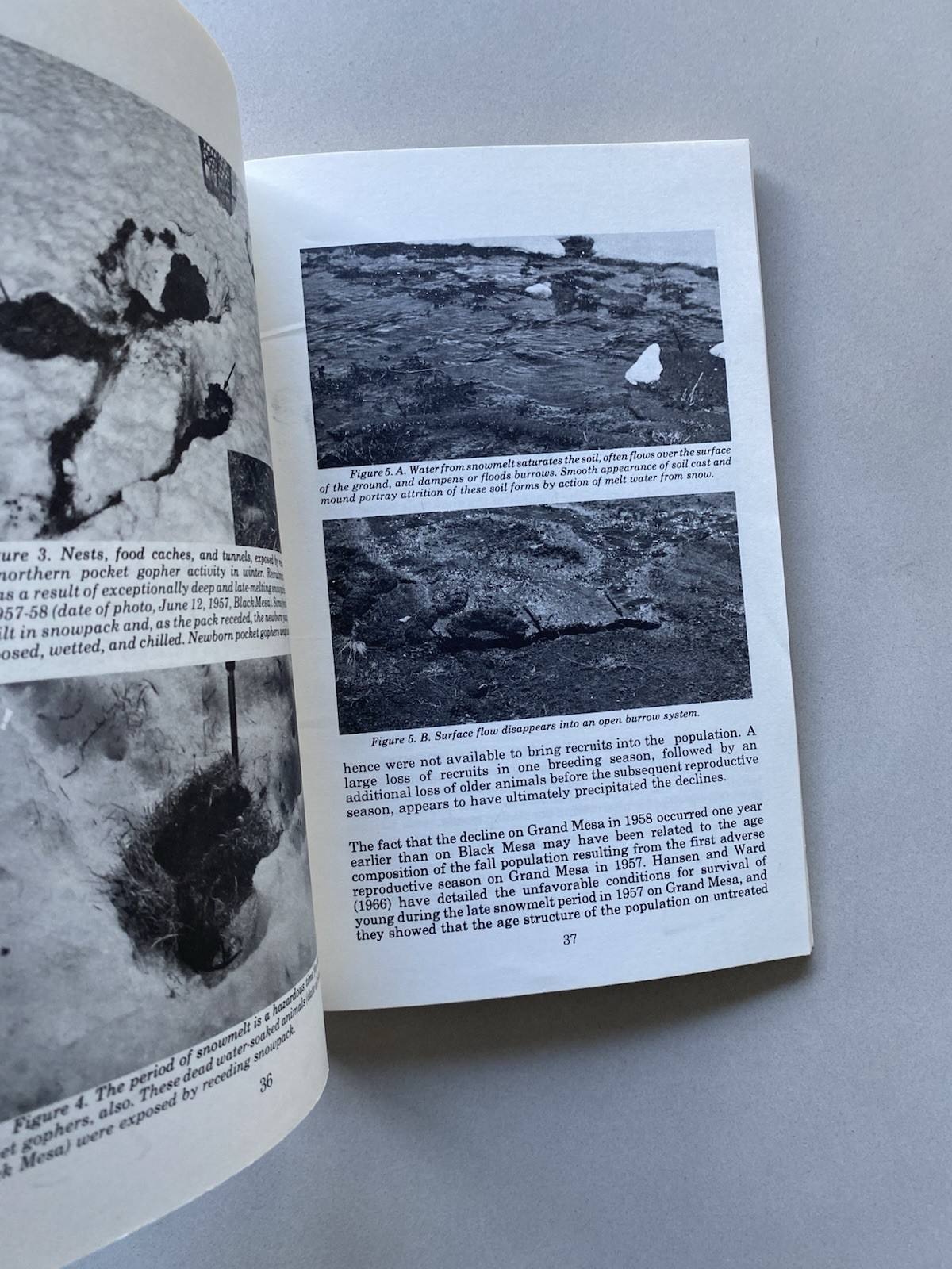 Pocket Gophers & Colorado Mountain Rangeland (1973 PB) University Bulletin 554S