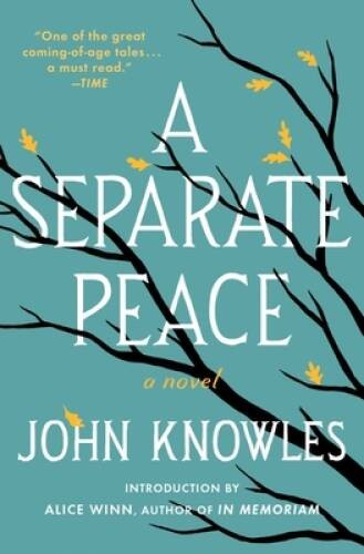 A Separate Peace – Paperback By John Knowles – ACCEPTABLE