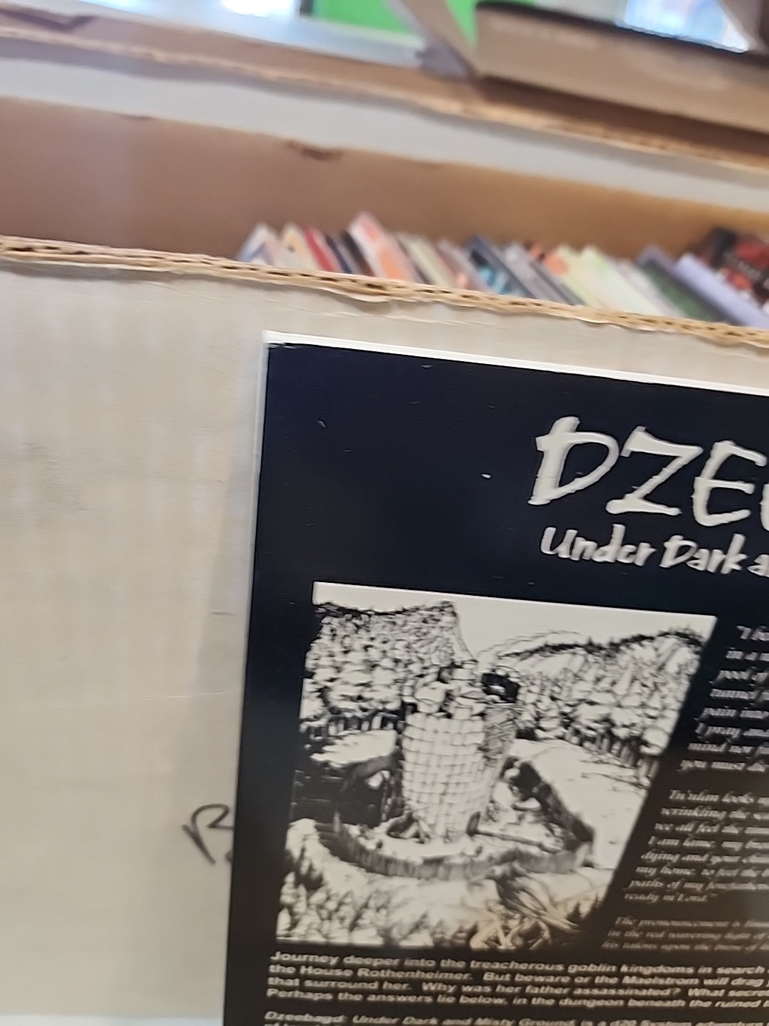 Dzeebagd : Under Dark and Misty Ground by Davis Chenault (Book, Other)