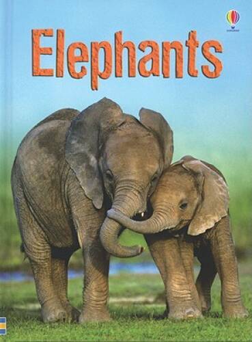 Elephants (Usborne Beginners) – Hardcover By Maclaine, James – GOOD