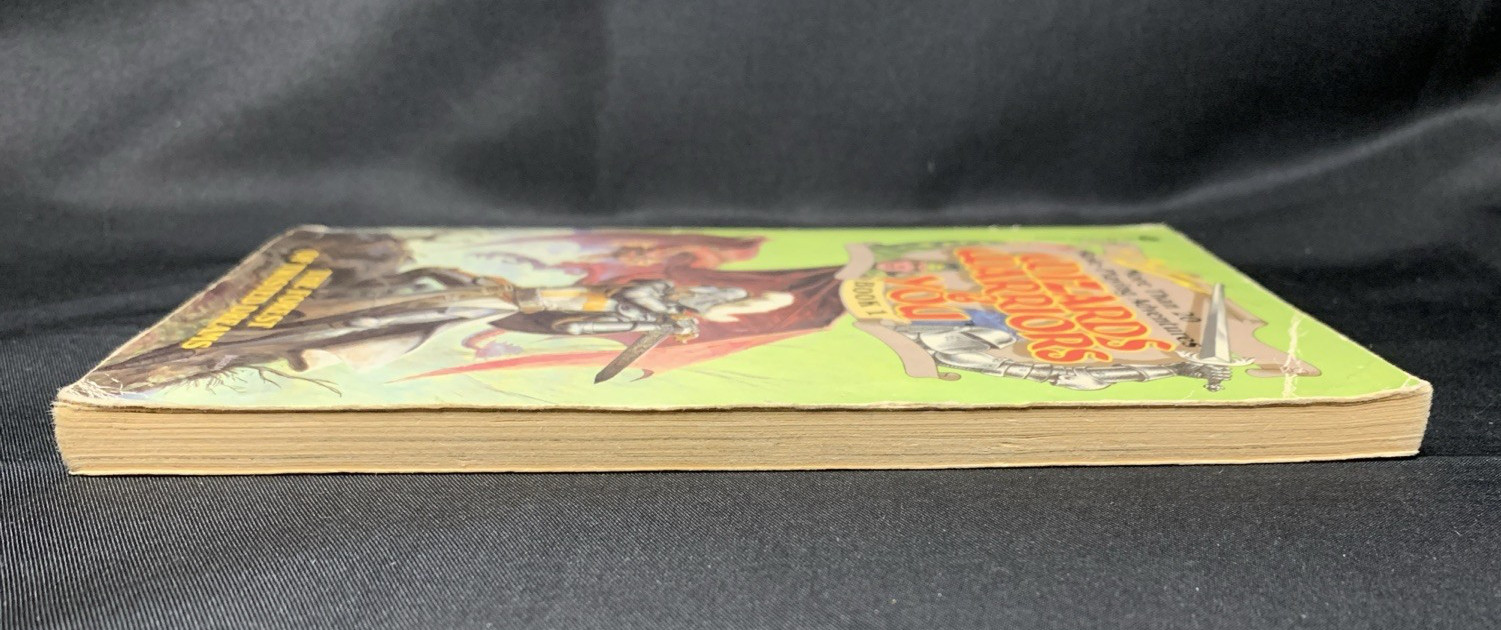 Book 1: Wizards Warriors & You by R. L. Stine – 1st First Avon Paperback 1984