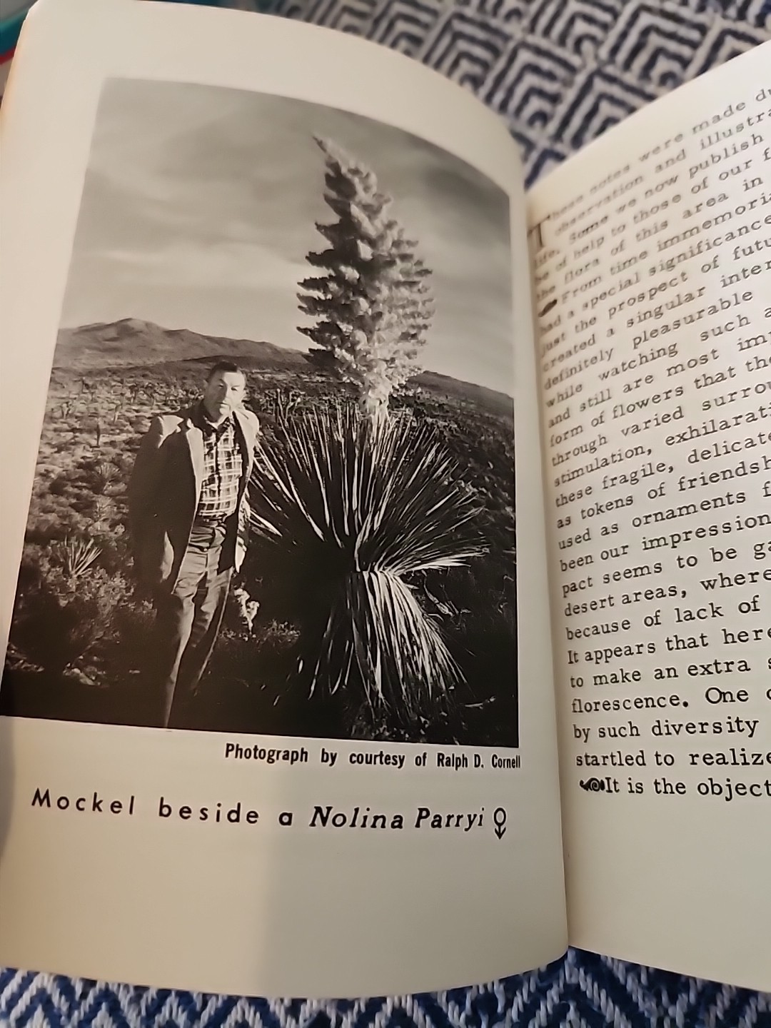 Mockel’s Desert Flower Notebook SIGNED by Author