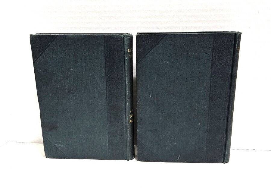 10 Works of Charles Dickens Peter Fenelon Collier Early 1900’s David Copperfield