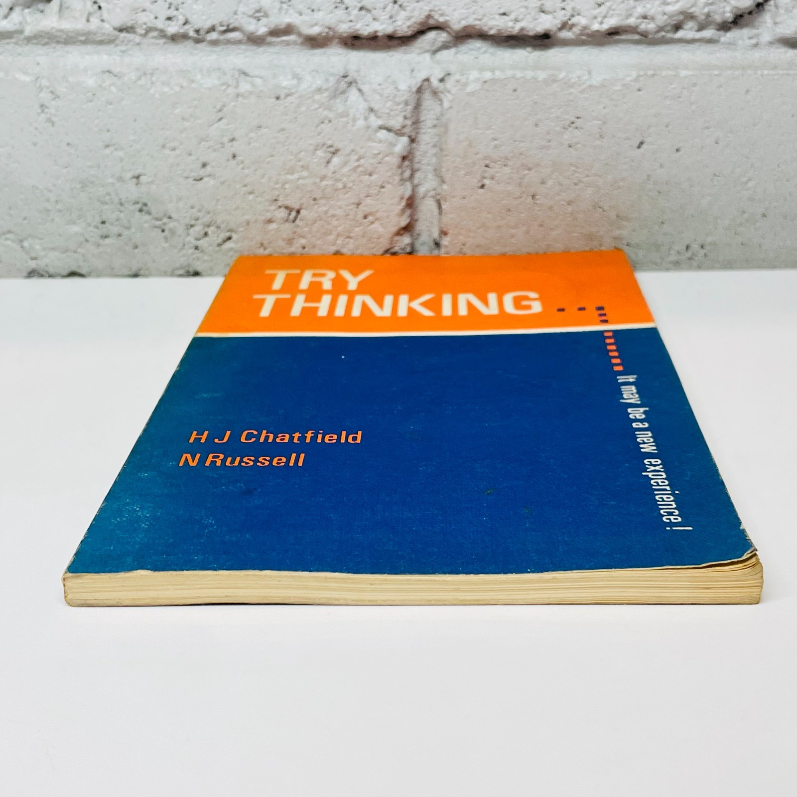 Try Thinking by H.J. Chatfield (Paperback Book) Philosophy