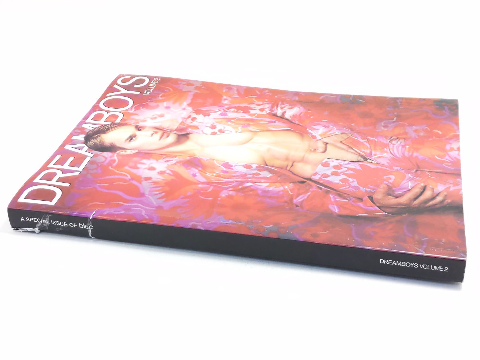 Dreamboys Volume 2 A Special Issue of Blue