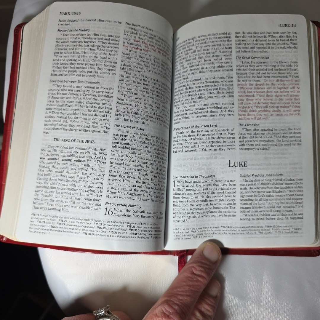 Firefighter’s Bible Soft Red Simulated Leather Red Letter 7×5″ Holman HCSB 2012