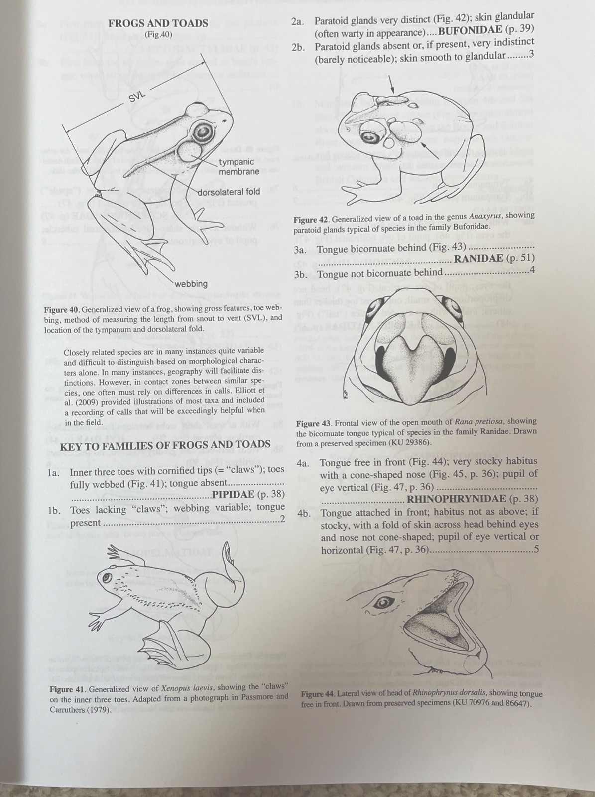 Key to the Herpetofauna of the Continental United States and Canada: 2nd ED.