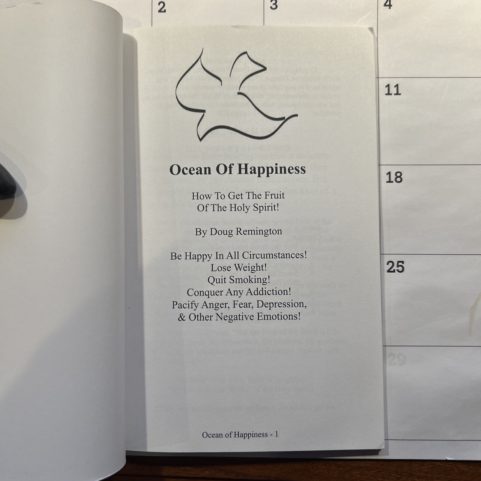 Ocean of Happiness! – Doug Remington – 2014 – 61 pages – Holy Spirit