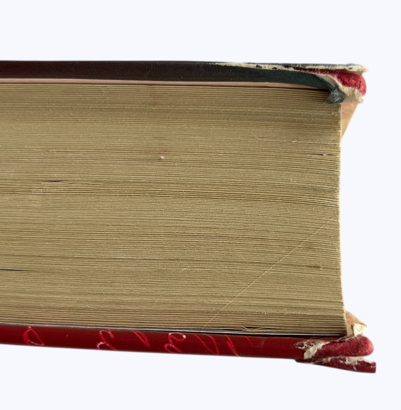 Shantaram, Gregory David Roberts [First Edition, Signed]