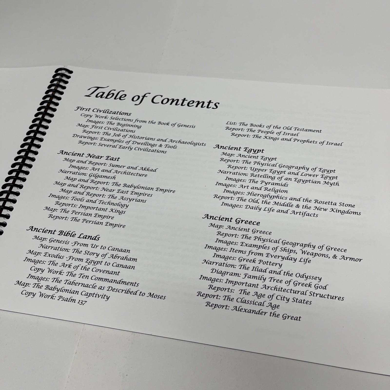 Ancient History Portfolio & Timeline Shukin