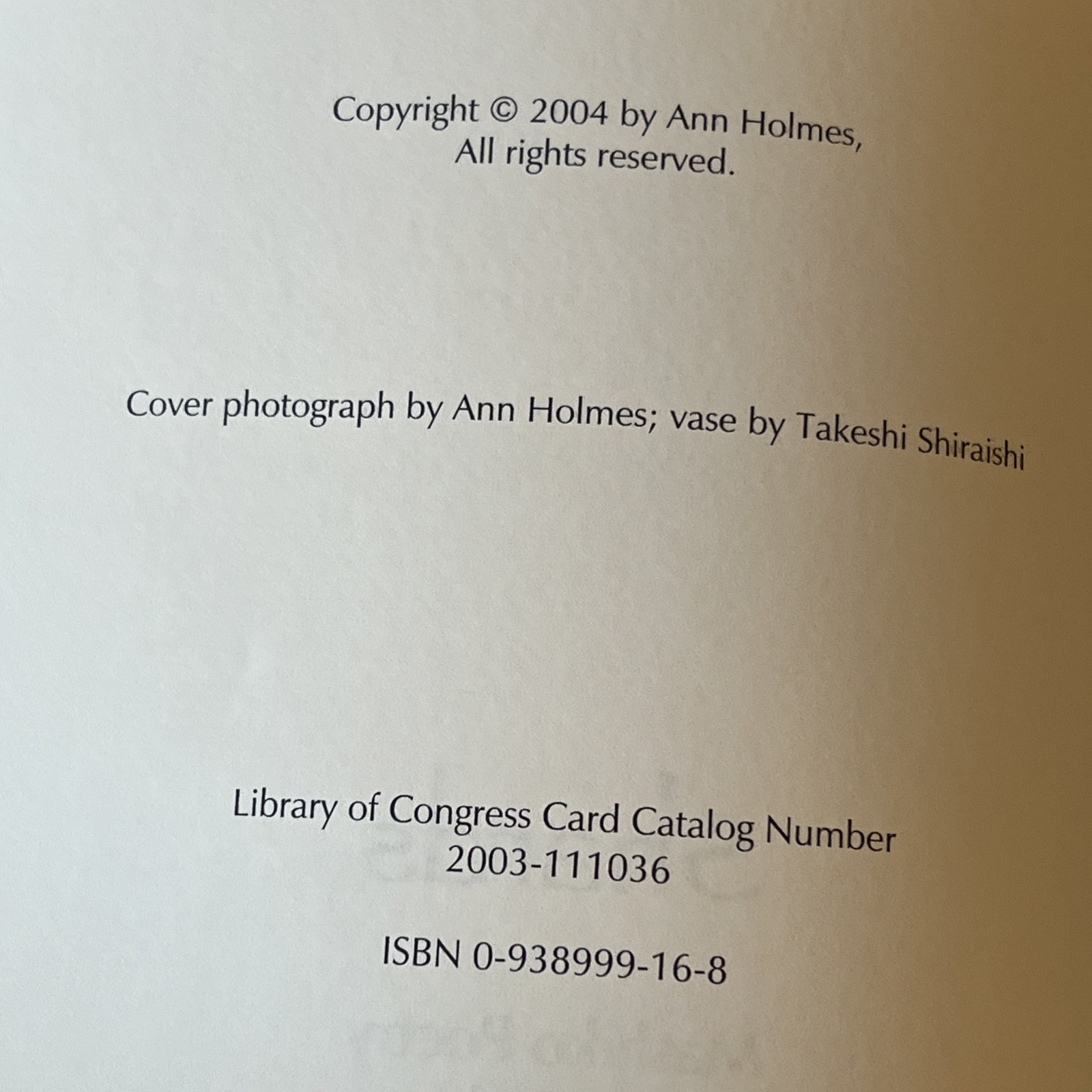 Shards Mashiko Poetry by Ann Holmes