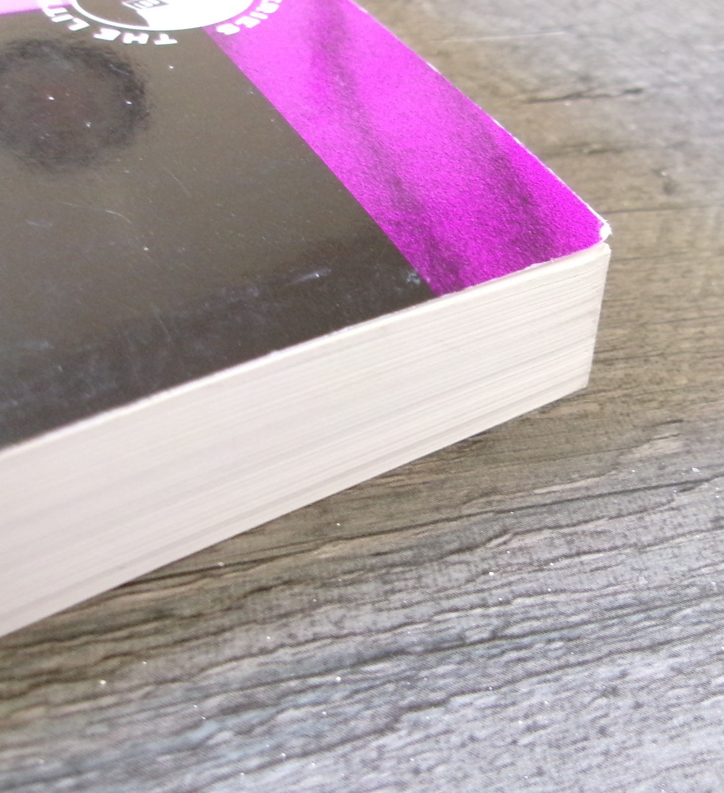 Little Black Book of Dermatology by Stanford I. Lamberg MD Primary Health 2000