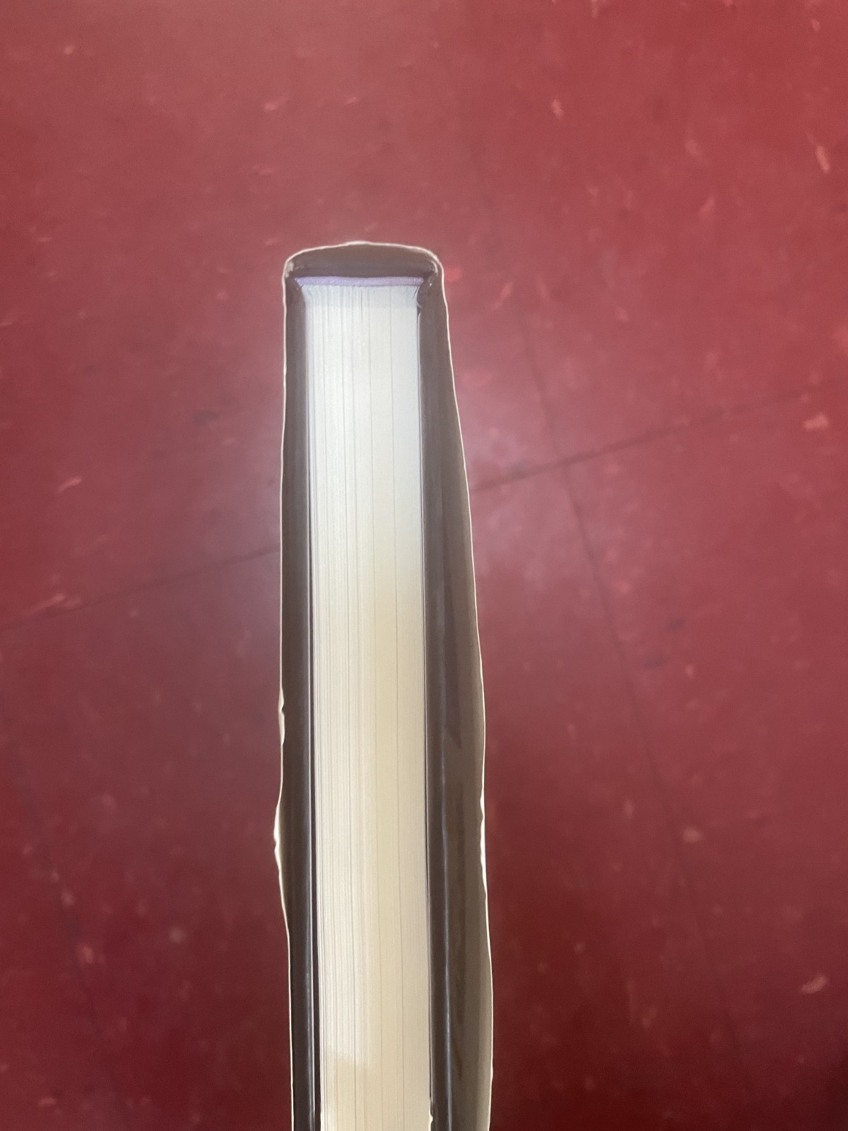 The World Of William Steig by Lee Lorenz. 1998 1st Ed Hardcover w/ DJ