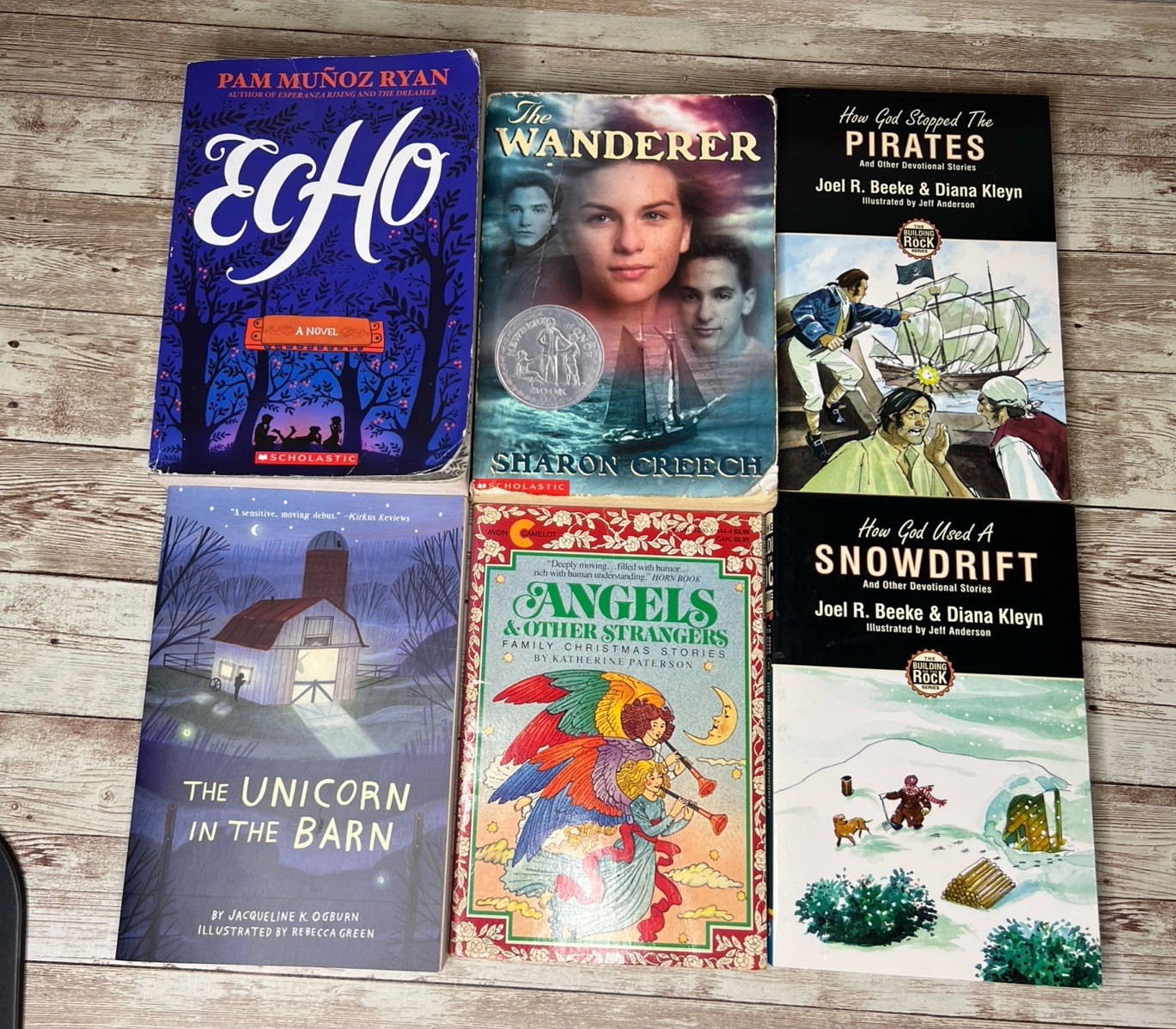 Lot of 28 Grade 3-6 Chapter Books Novels 14lbs / 39 Clues, ECHO , School of Fear