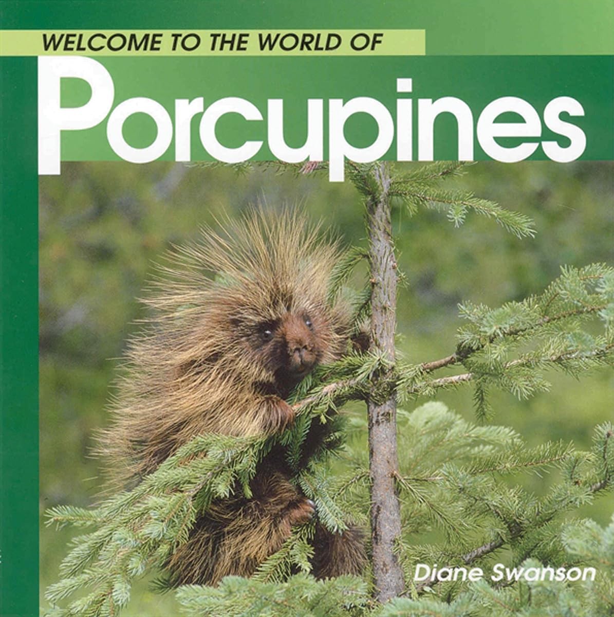 Welcome to the World of Porcupines (Welcome to the World Series) – paperback…