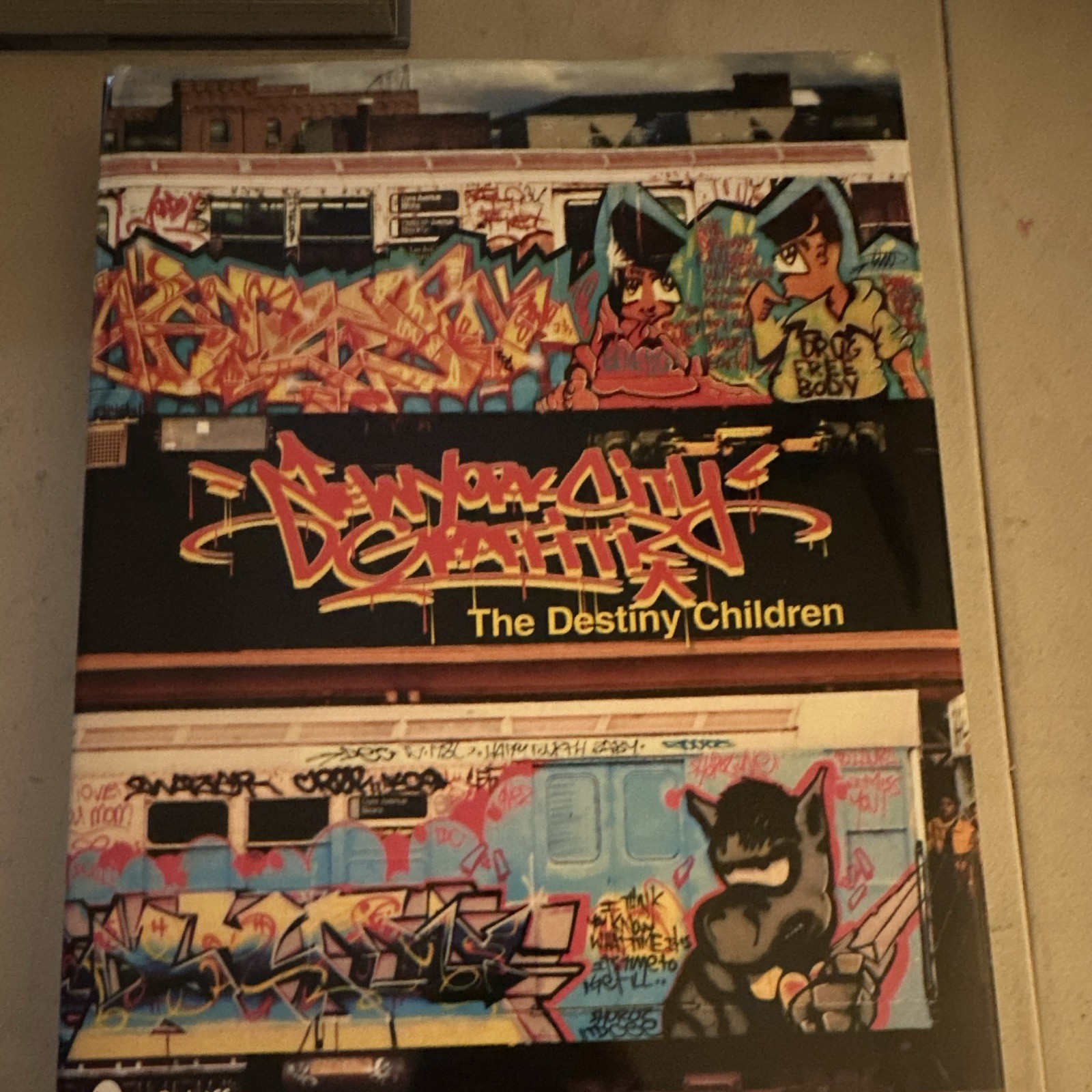 New York City Graffiti: The Destiny Children Softcover George McAvoy 2011