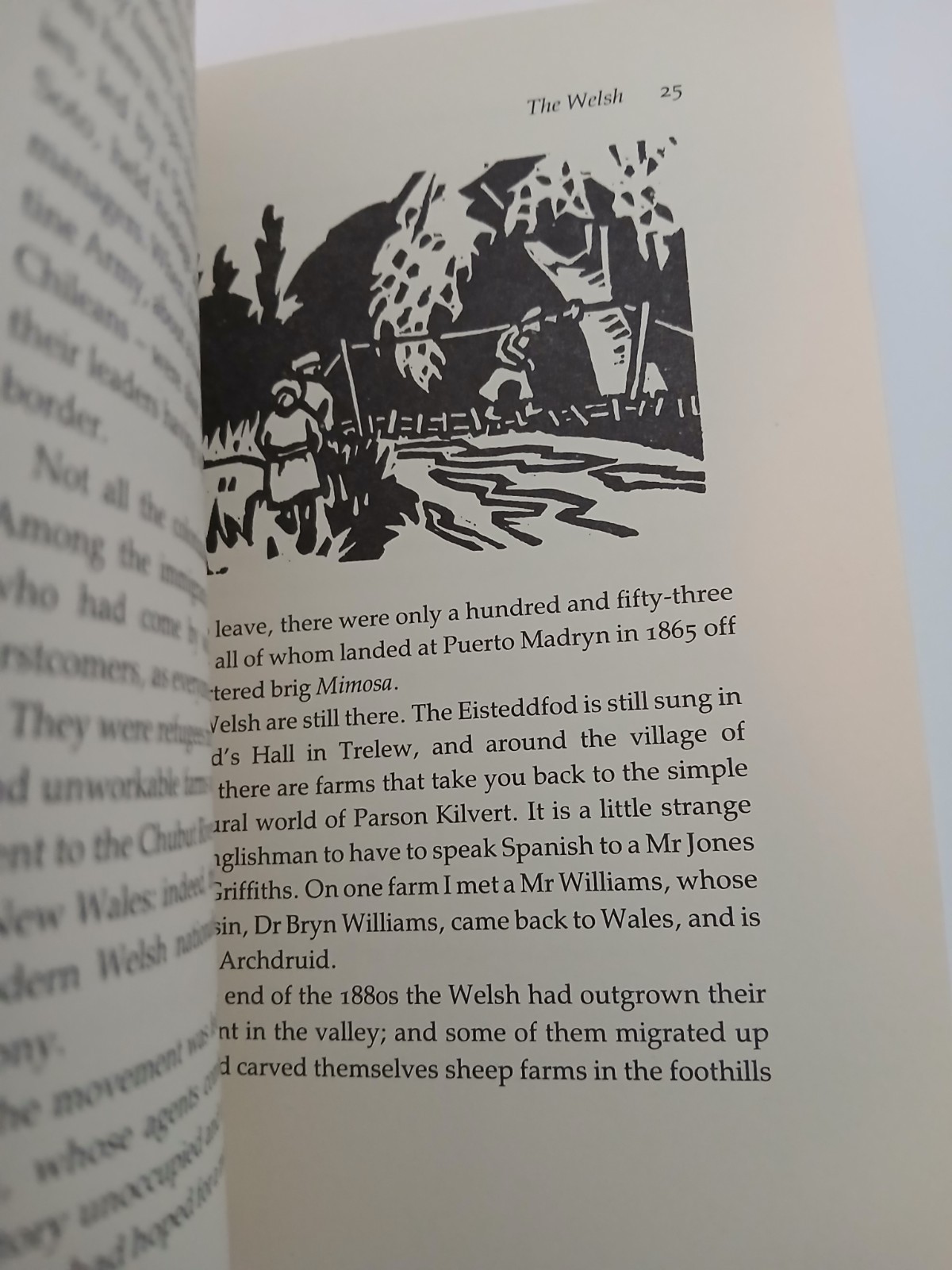 Patagonia Revisited von Bruce Chatwin und Paul Theroux 1. Auflage 1986