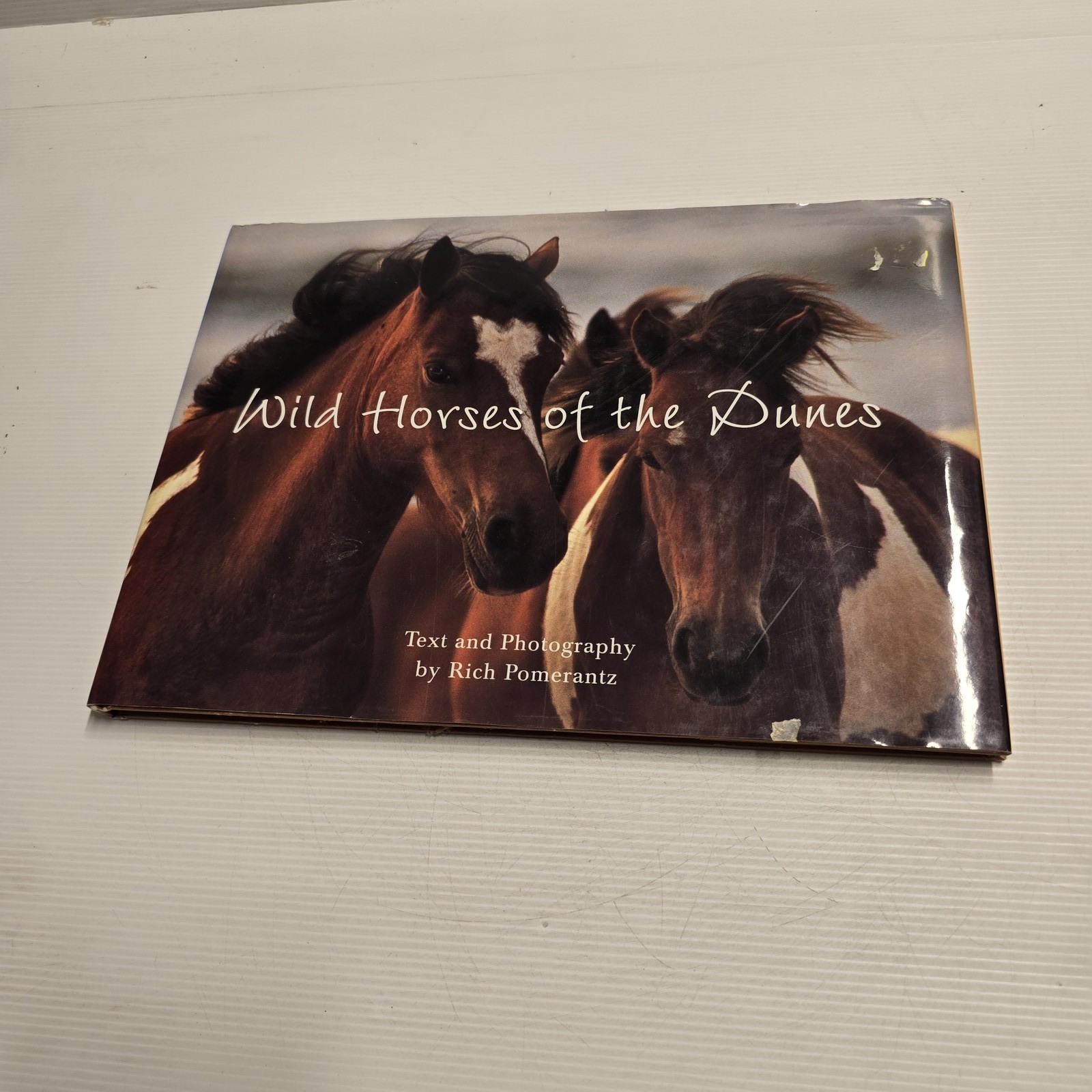 Wild Horses of the Dunes by Rich Pomerantz Hardcover Photography Book Nature