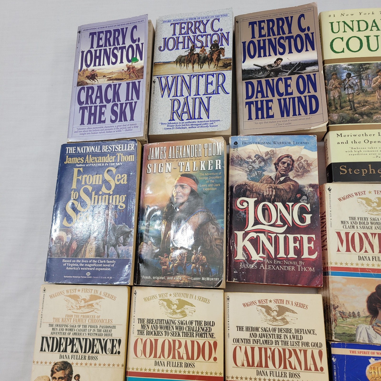 LOT OF 19 BOOKS RARE Dana Fuller Ross Terry C Johnston James Thom 17 PB 2 HB VTG