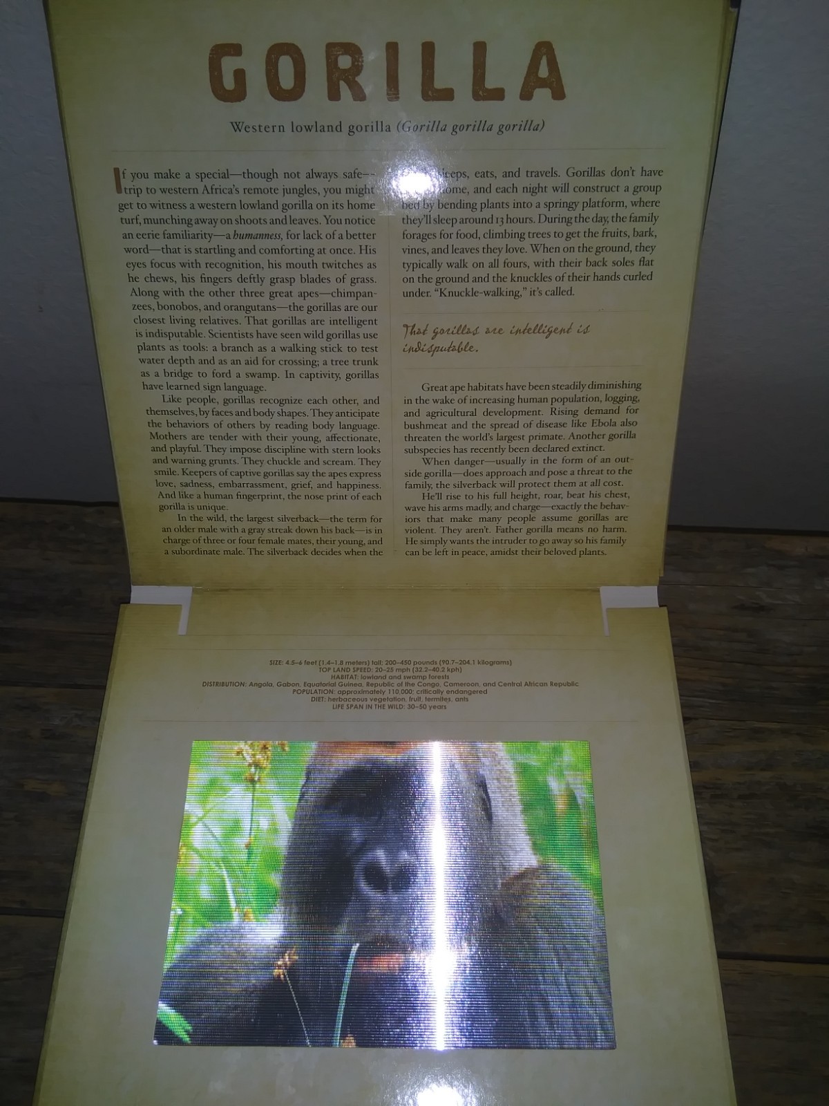 Safari: A Photicular Book – 3D Moving Pics of African Animals Educational Guide