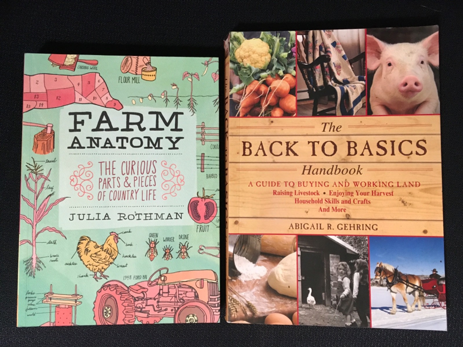 Lot 2 FARM ANATOMY Curious Parts of Country Life Julia Rothman + BACK TO BASICS